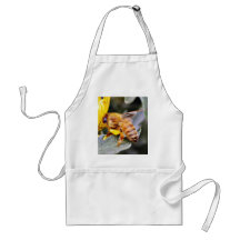 Bienen-Insekten 3 Schürzen