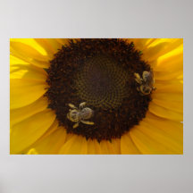 Bienen-Liebe-Sonnenblume-Plakat