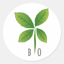 BIO AUFKLEBER