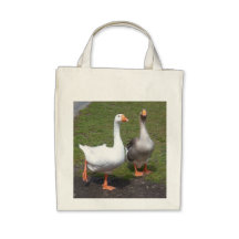 Bio Lebensmittelgeschäft-Tasche