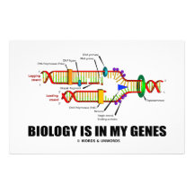 Biologie ist in meinen Genen (DNS-Reproduktion) Büropapiere