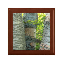 BirchTree Erinnerungskisten