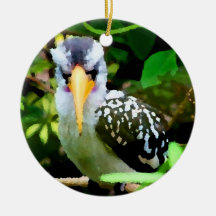 bird black white yellow beak against green painted ornament