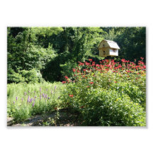 Birdhouse-12x18 photographischer Druck