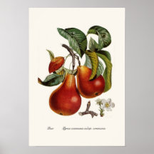 Birne Plakat
