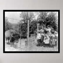 Bison, der entlang Kinder 1899 anstarrt Plakat