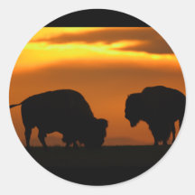 Bison Runder Aufkleber