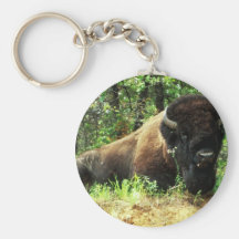 Bison Schlüsselbänder