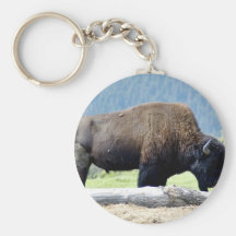 Bison Schlüsselbänder