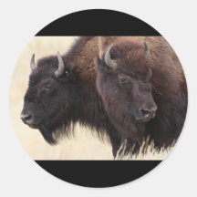 Bison Sticker