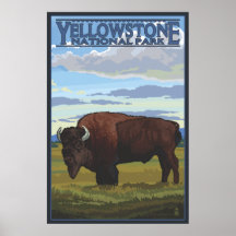 Bison-Szene - Yellowstone Nationalpark Posterdrucke