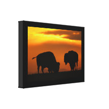 Bisonsonnenuntergang Galerie Falt Leinwand
