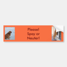 Bitte!  Spay oder neutralisieren Sie! Autosticker