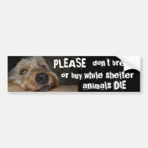 Bitte züchten Sie nicht oder kaufen Sie, während S Autosticker