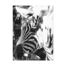 Black & White Zebra Gallery Wrap Canvas