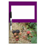 BlackBerry-außergewöhnliches Notiz-Brett Memoboards