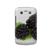 BlackBerry-BlackBerry-mutiger Kasten Blackberry Bold Hülle