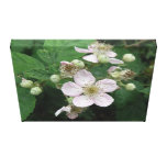 BlackBerry-Blumen-Leinwand-Druck Galerie Falt Leinwand