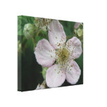 BlackBerry-Blumen-MakroLeinwand-Druck Leinwanddrucke