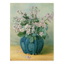 BlackBerry-Blüten Postkarten