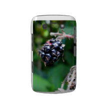 BlackBerry für BlackBerry Blackberry Bold Hüllen