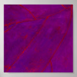 Blatt-Adern - Nahaufnahme 2 Posterdrucke