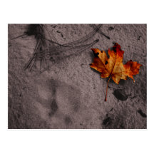 Blatt nahe bei Abdruck-Postkarte