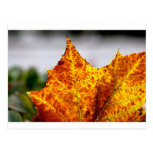 Blatt Postkarten