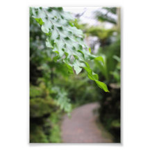 Blatt vor der Biegung eines Weges Kunst Photo