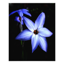 Blau Kunst Fotos