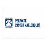 Blau Perro De Pastor Mallorquin Postkarte