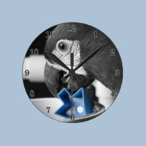 Blau - strenge Macaw-Uhr wanduhren