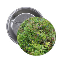 Blaubeere Bush Anstecknadelbutton