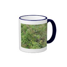 Blaubeere Bush Kaffeetassen