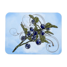 Blaubeeren Magnete