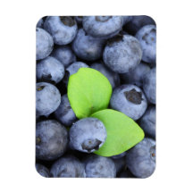 Blaubeeren Magnete