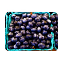 Blaubeeren Vinyl Magnet