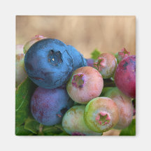 Blaubeermagnet Kühlschrankmagnete