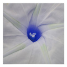 Blaue Blumen-Mitte Kunstfoto