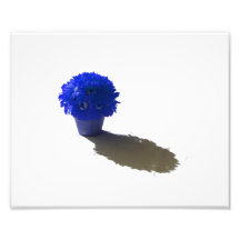 Blaue Blumen-weißer Eimer und Schatten Fotografische Drucke