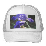 Blaue Iris bei Poli 1 Retromütze
