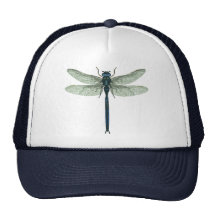 Blaue Libelle Retrokappen