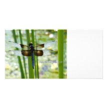Blaue Libellen-Foto-Karte Bildkarte