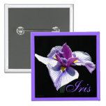 Blaue lila Iris II Anstecknadelbuttons