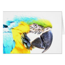 Blaue Macaw ~ Gruß-Karte