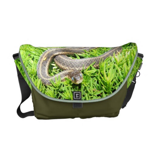 Blaue mit Augen Schlange ~ Botetasche Kurier Tasche