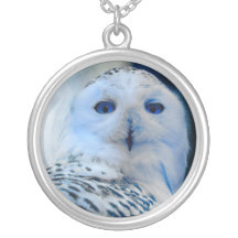 Blaue mit Augen Schneeeule Amulett