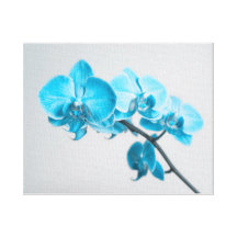 blaue Orchidee Galerie Falt Leinwand