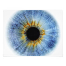 Blauer Augapfel Ankündigung