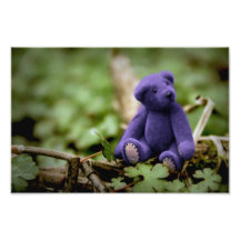 Blauer Bär Fotos